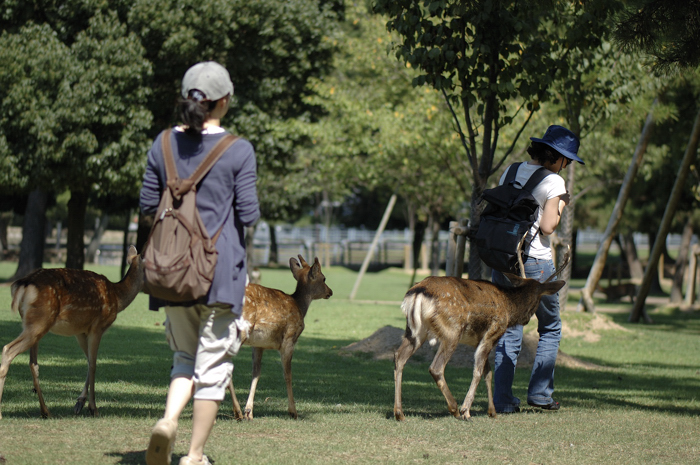 奈良公園