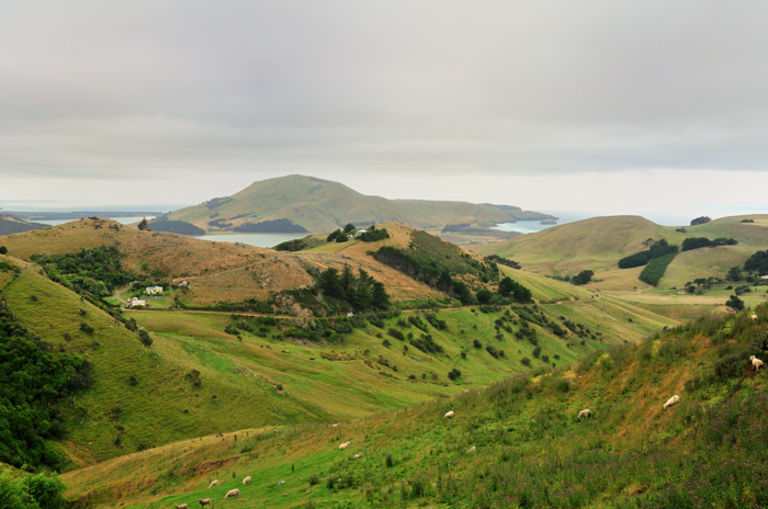 Otago Peninsula