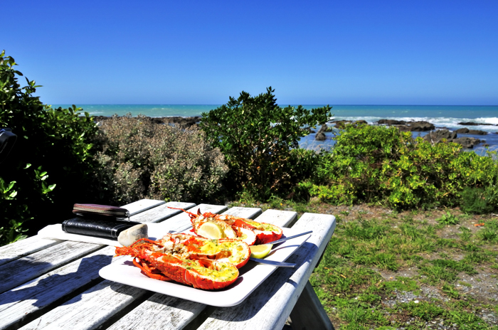 Nin's Bin along the Kaikoura Coast